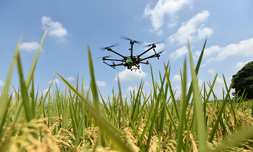 Agriculture