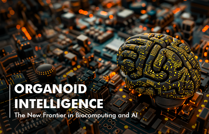 Organoid Intelligence: The New Frontier in Biocomputing and AI | Vee ...