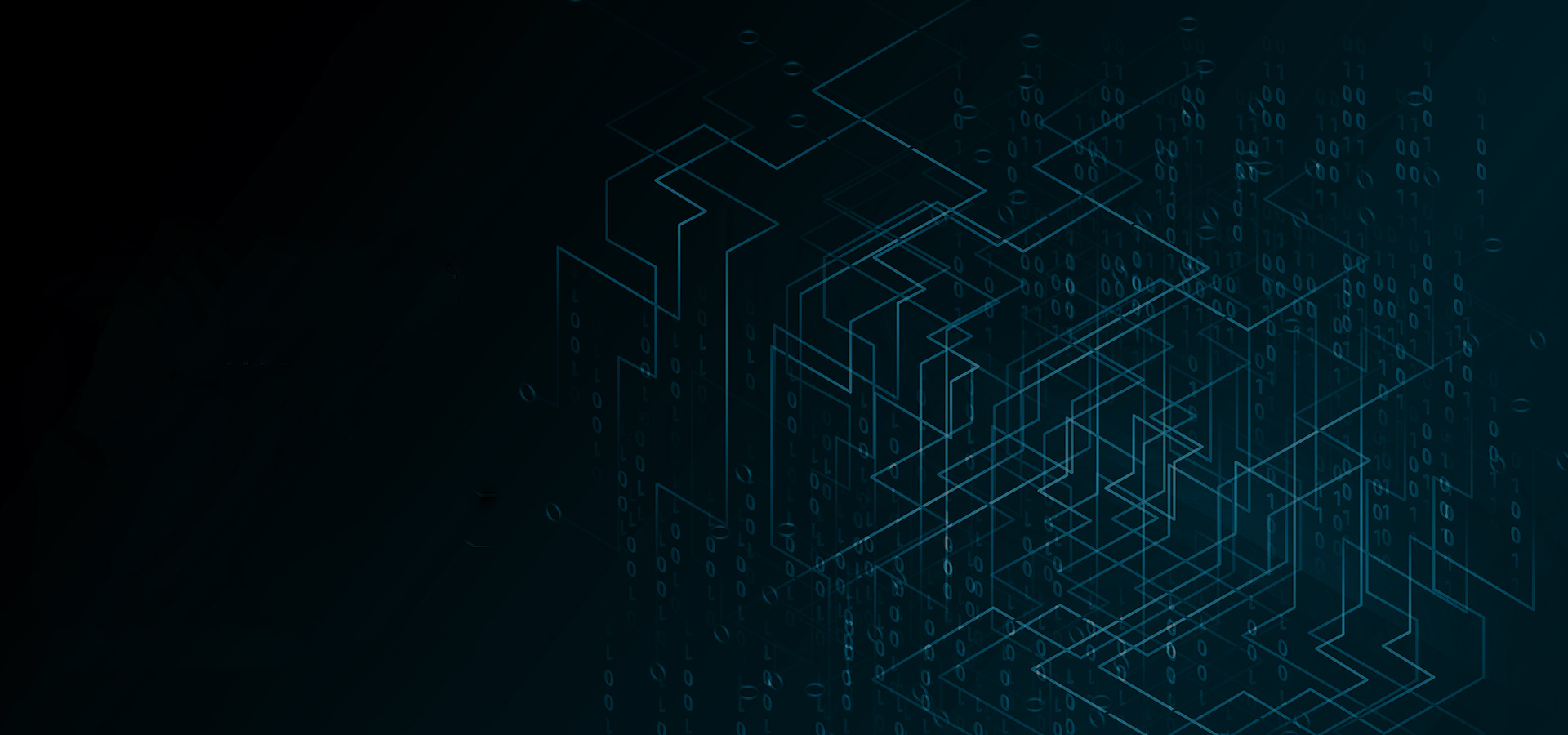 Optimizing Data Capture Through EMR Systems